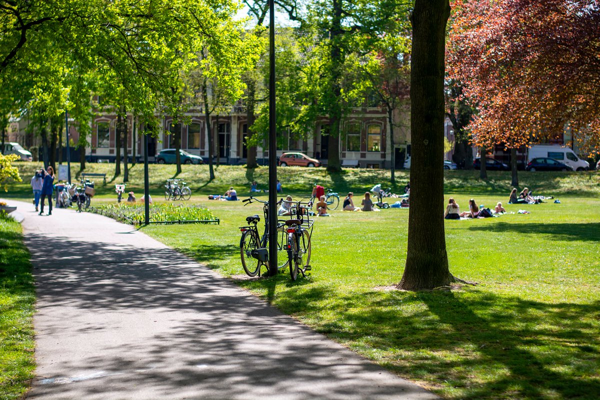 Openbare ruimte kan tal van oplossingen bieden voor uitdagingen op het gebied van #klimaat, #gezondheid en stedelijke #verdichting. 20 apr start de workshopreeks Sturen op Ambitie voor professionals @HAShogeschool die groenbeheer verder willen ontwikkelen bit.ly/3bIatfB