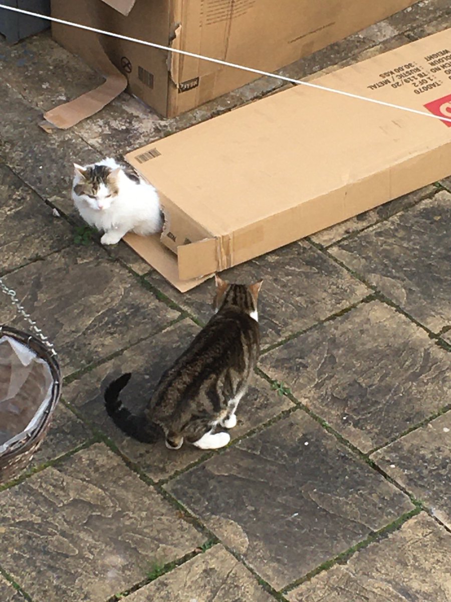 Sam Metcalf tweet media