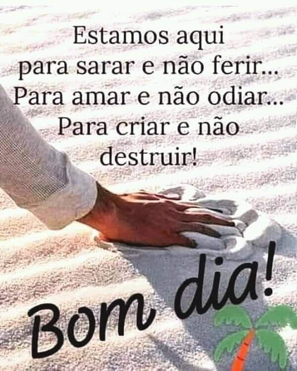 Cida De Sousa 🇧🇷 #BolsonaroAte2026 on Twitter: 