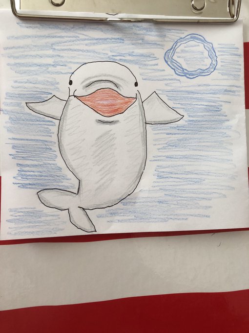 白イルカのtwitterイラスト検索結果