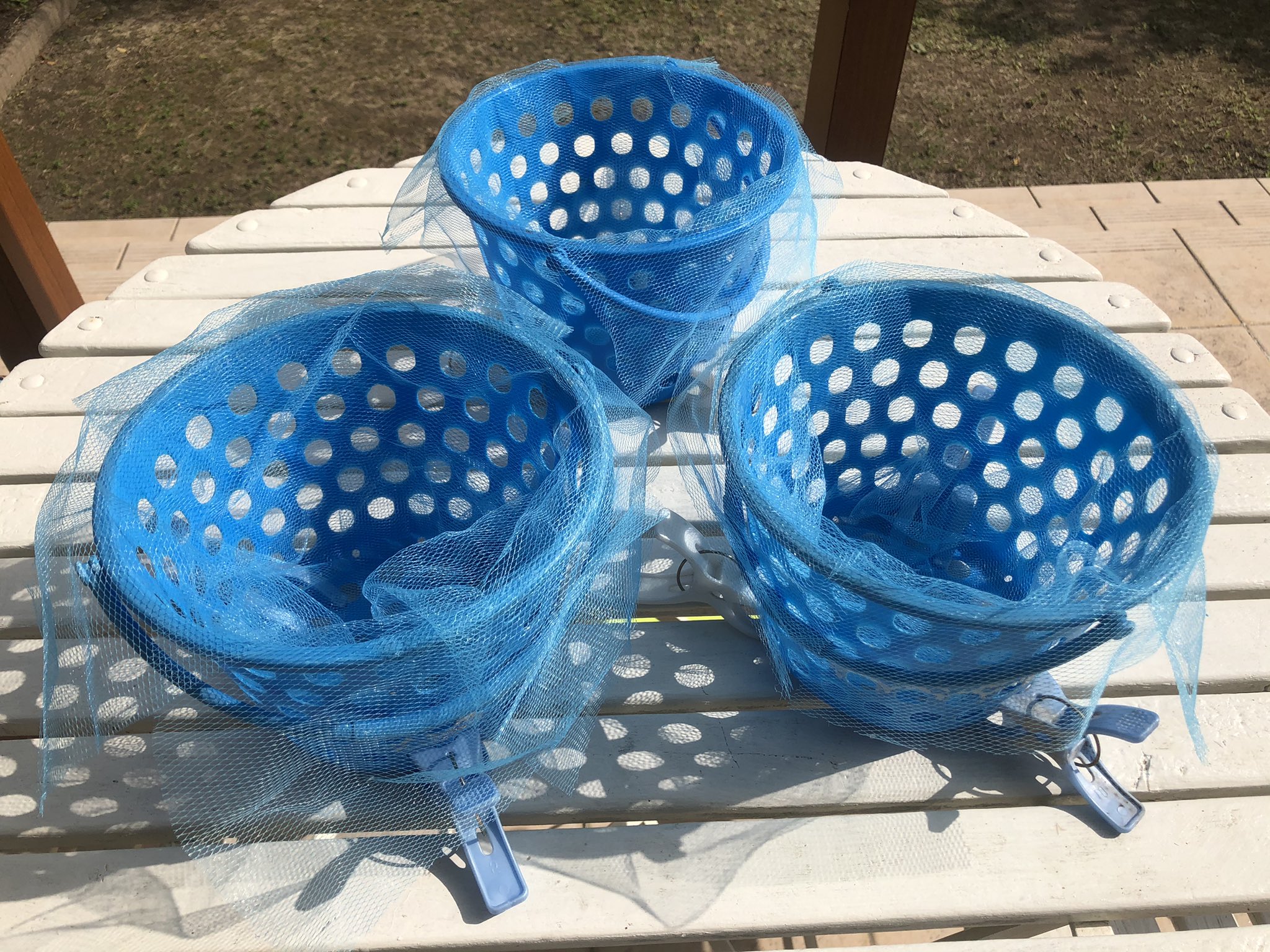 水耕栽培やってみよ 今年の100均穴空きバケツでのミニトマト水耕栽培を始めました ヤシの培養土を水で戻し バーミキュライトを混ぜ 穴空きバケツに三角コーナーネットを敷いてから入れ 苗を植えます 暖かいので例年より1ヶ月早く始めました 水耕