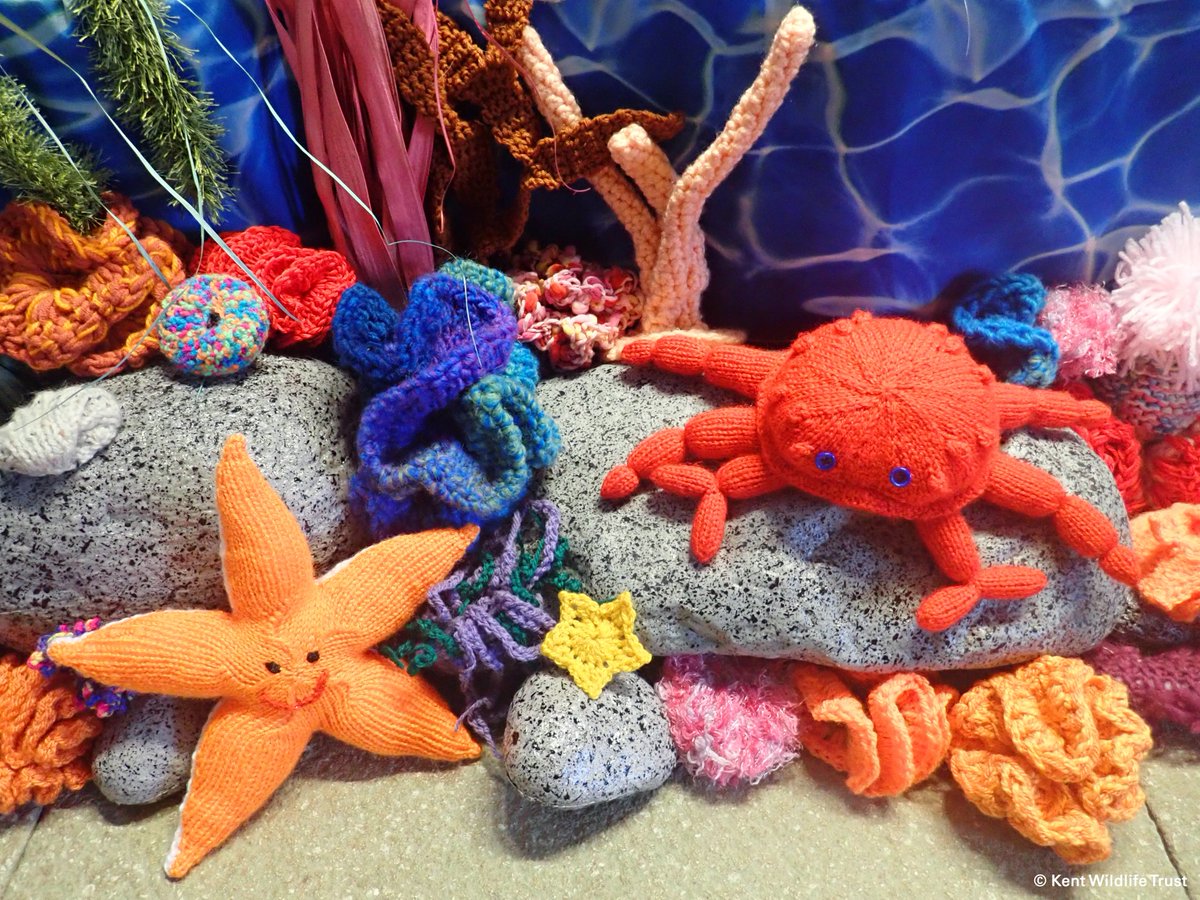 Could you knit an octopus, crochet a cuttlefish or sew a sea bass? 🪡🐟 
We’re seeking local crafters to choose a Solent species that inspires them and recreate it using textiles. Find inspiration from marine wildlife and view ready-made patterns here 👇
hiwwt.org.uk/secrets-of-the…