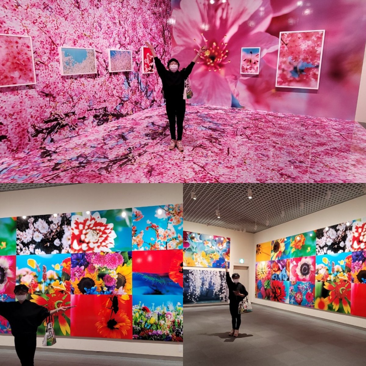 Mzdenterteiment's tweet photo. #蜷川実花さんの個展❤️ https://t.co/HKL60GypCI
