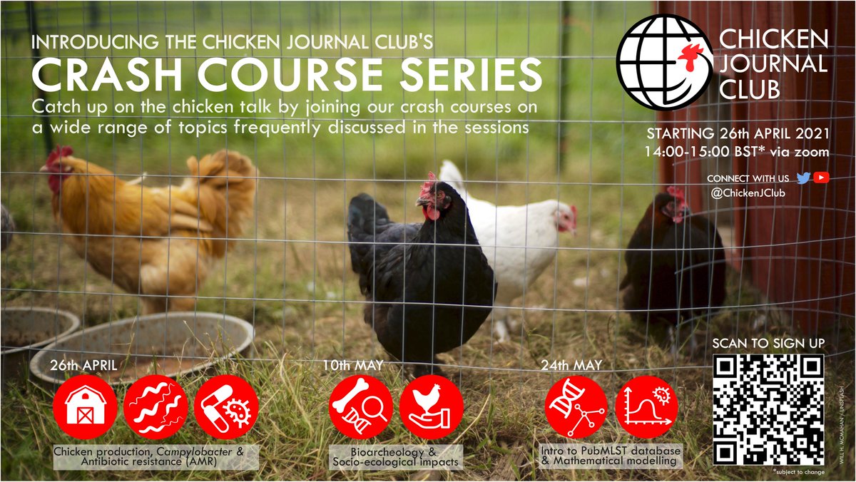 ChickenJClub's tweet photo. Need more of a chicken fix over the Spring term? Join our crash course series on a wide range of topics frequently discussed in the club. 🐓 Aimed at all education levels and academic backgrounds, for those seeking introductory levels of information. 📚 (1/5) https://t.co/5yqxrwVvxQ