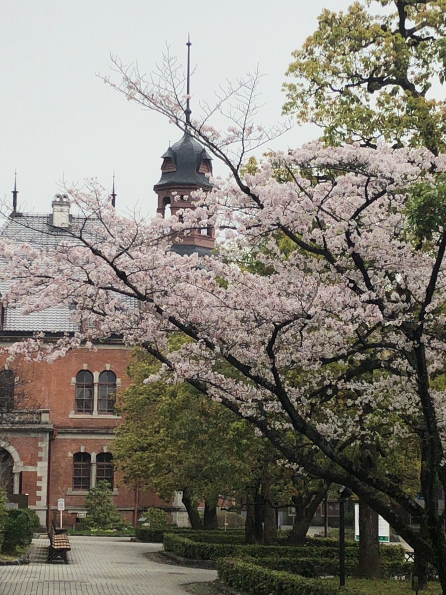同志社大学法科大学院 Doshisha Law Twitter 同志社大学法科大学院 Doshisha Law Twitter