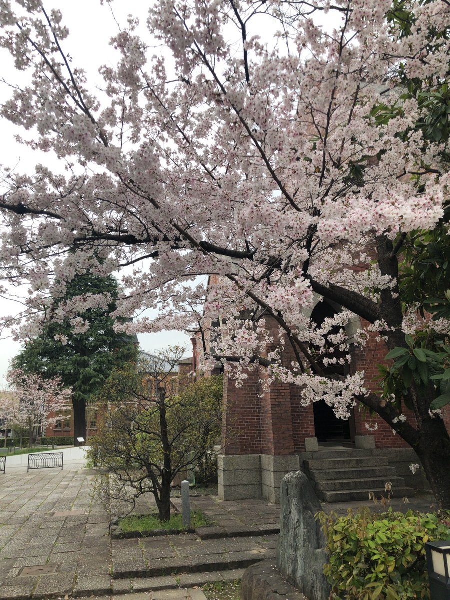 同志社大学法科大学院 Doshisha Law Twitter 同志社大学法科大学院 Doshisha Law Twitter