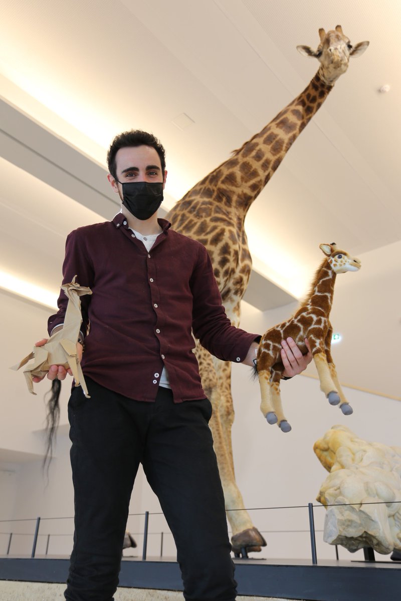 [#TeamMOBE] Jérémi est l’un de nos médiateurs scientifiques au <a href="/MuseumOrleans/">Muséum d'Orléans</a> ! Passionné par la #science et les #origamis vous le retrouverez bientôt au sein du museum lors d’animations scientifiques pour tous les âges ! 😉 
#MOBE #MOBE2021 #reouverture