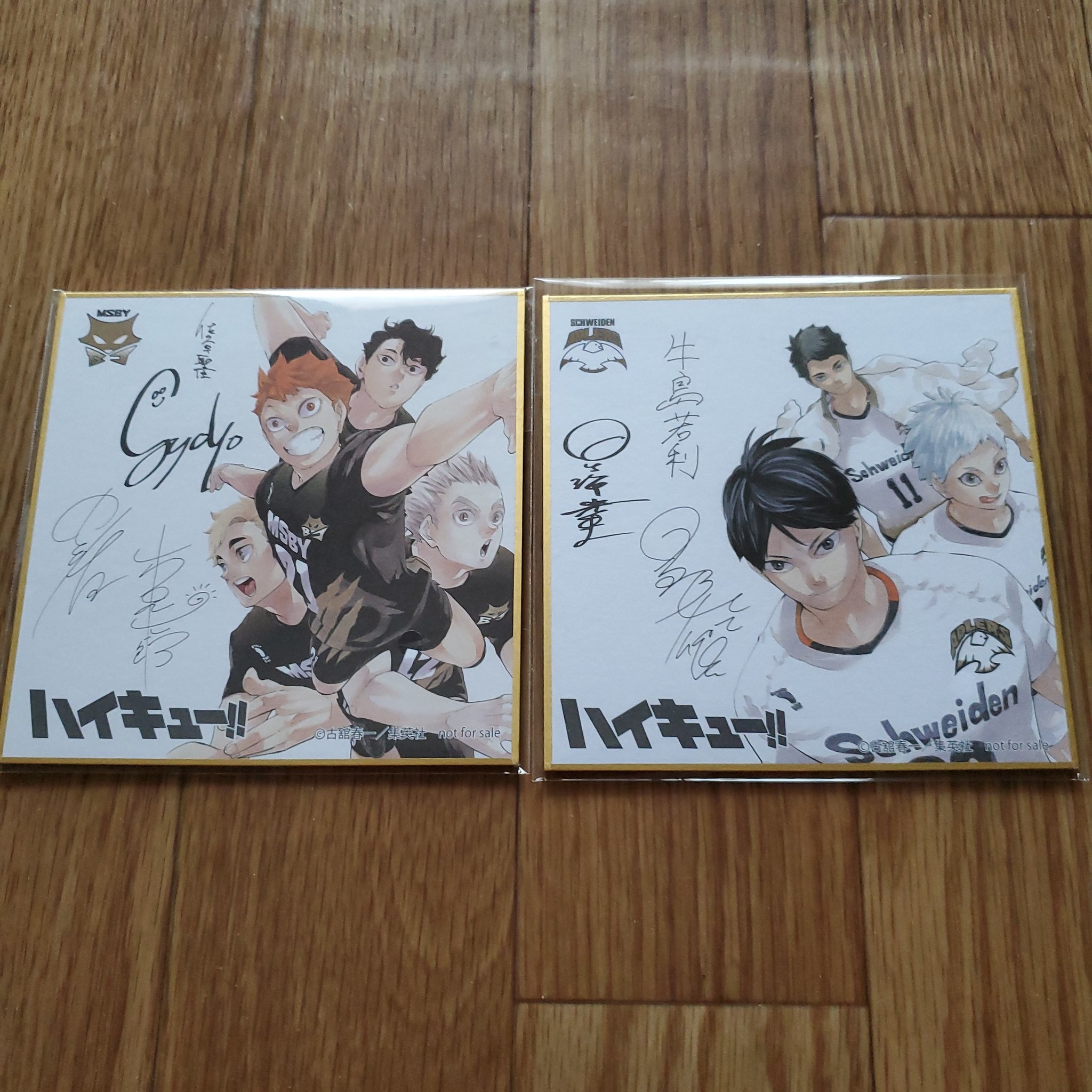 ハイキュー‼︎ サイン色紙 ジャンプGIGA 2020 SUMMER ハイキュー 日向