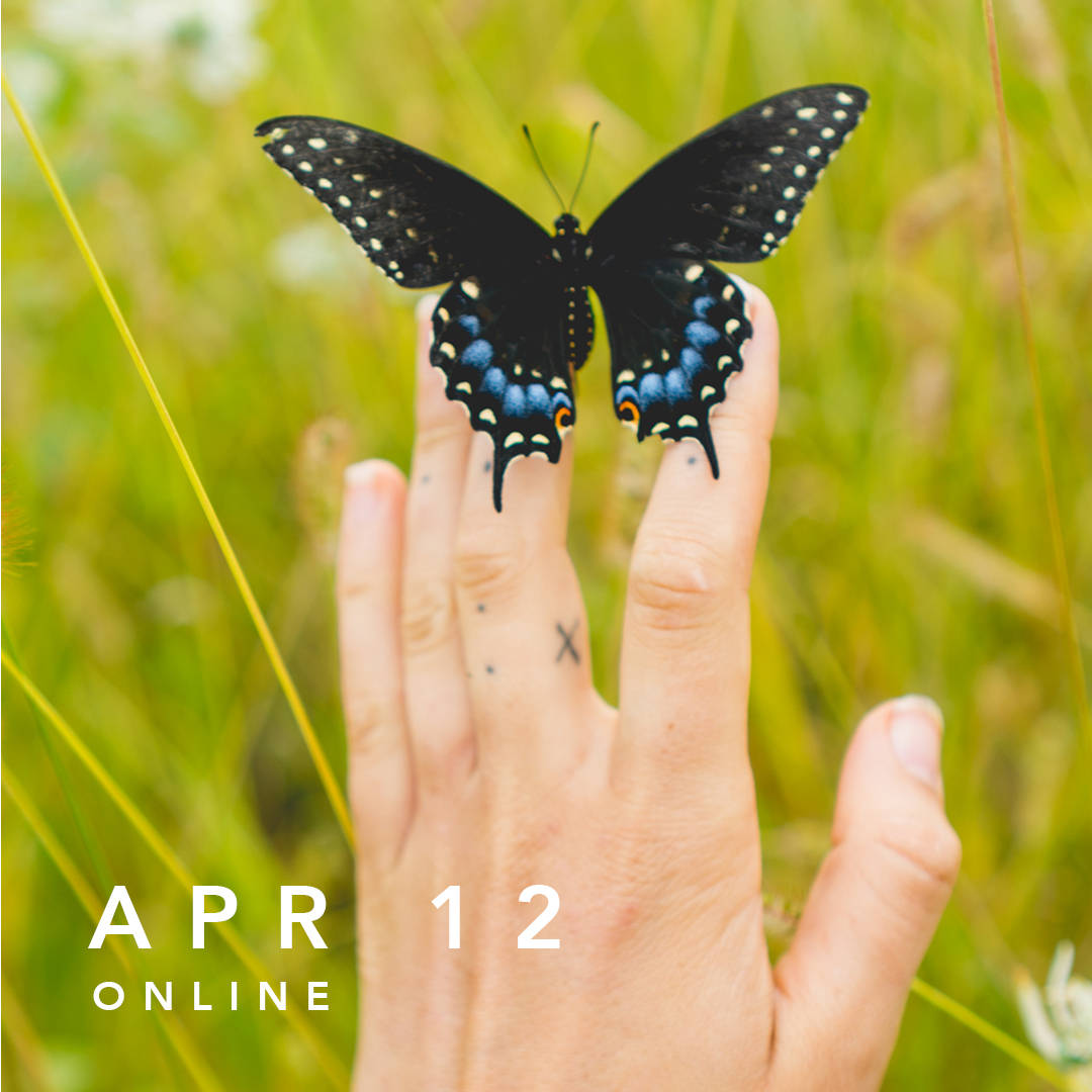 Miniclick Bristol &amp; The RPS present:
Madeline Cass

Monday 12th April - 7.30pm - online!

Places limited but FREE - to get a zoom link, please register at: rps.org/MCass