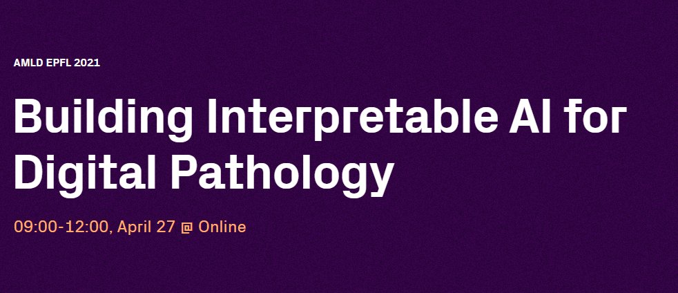 1⃣Interpretable AI for Digital Pathology

🗓️27 April 9-12h (CET)
👩‍💻MSc, PhD students &amp; researchers
💰69 (students) - 120 (rest) (whole event)
🗺️Online

<a href="/mormontre/">Mara Graziani</a> <a href="/pushpak_pati/">Pushpak Pati</a> &amp; <a href="/GuillaumeJaume/">Guillaume Jaume</a> will give you hands-on tutorials to apply interpretability

👉appliedmldays.org/events/amld-ep…