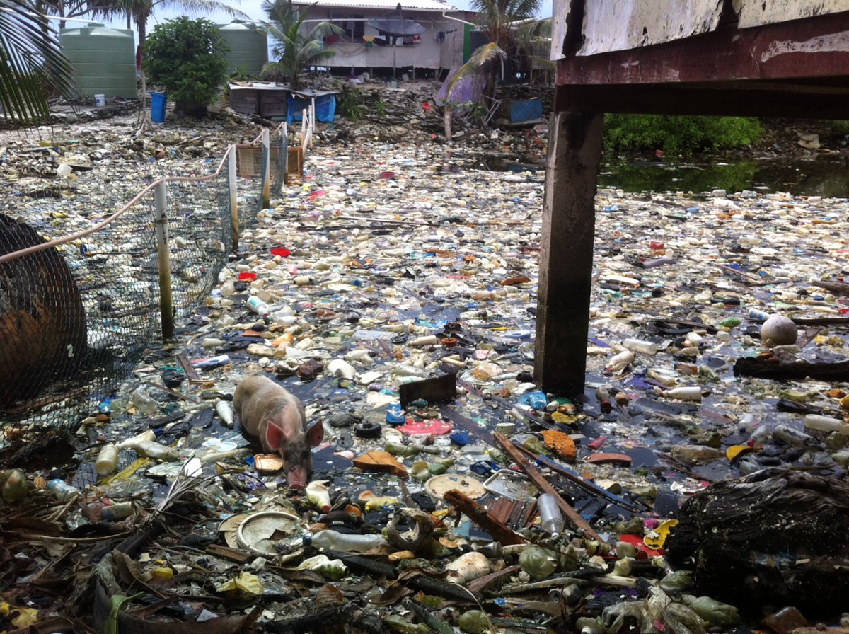 Issues that 99% of humanity ignores...

Mass extinction of species
Extermination of life in the oceans
Plastic contaminating the entire planet and food web
Amazon rainforest collapsing
Glaciers melting and vanishing
Coral reefs going extinct
Massive ocean dead zones
...