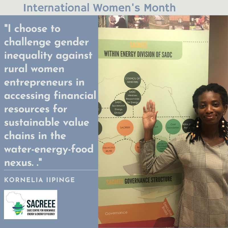 SACREEE_SADC's tweet photo. As we wrap up #InternationalWomen’s Month, SACREEE dedicates and honours the #achievements and aspirations of women in the SADC region and globally. #SACREE celebrates #women contributing to the #RenewableEnergy and #EnergyEfficiency sector! https://t.co/MsLrm5jD8V