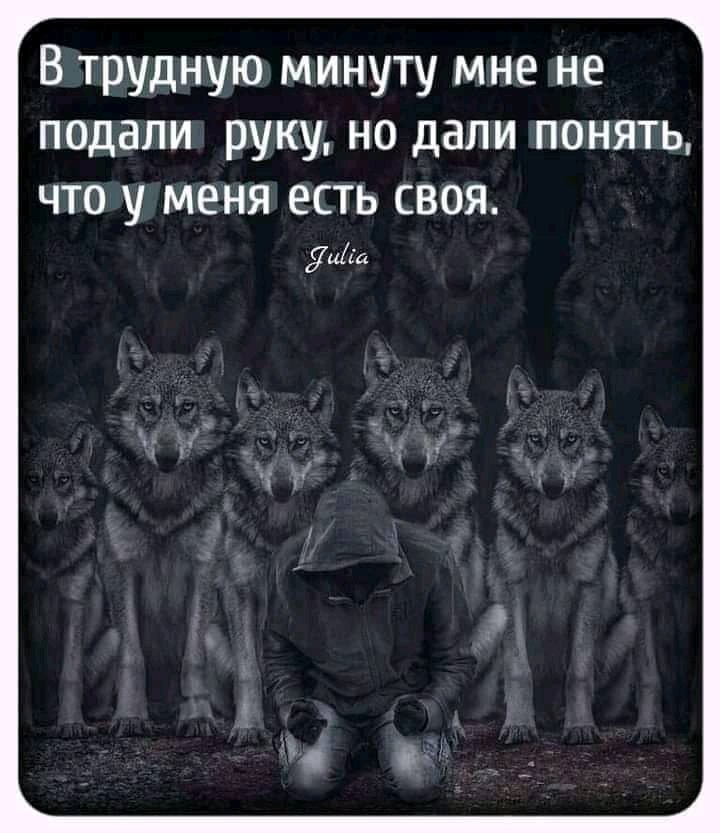 volchatnik's tweet image. Когда бабы не дают