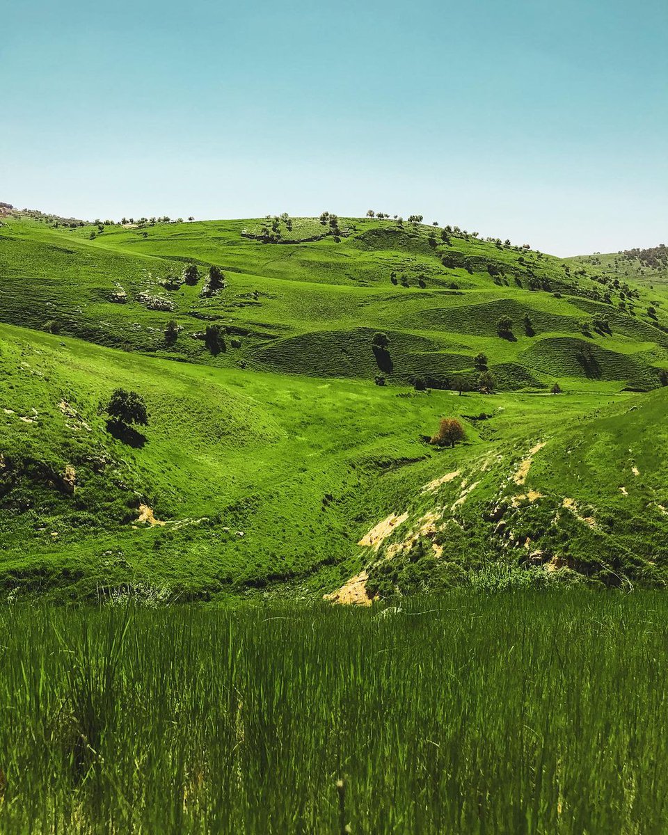 VisitJordan's tweet photo. Beautiful landscapes and lush greenery enchant visitors in #Irbid🌳🌳

Photo Credit: saad_alfuqaha

#VisitJordan #ShareYourJordan #Jordan https://t.co/9mWbb6FEej