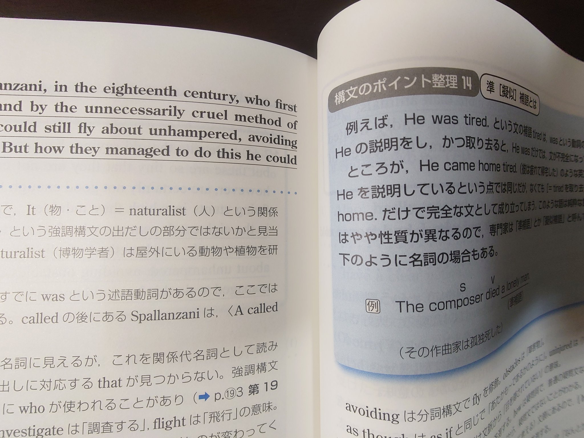 精密英文読解 (駿台受験シリーズ 入試対策演習ACCESS) | 田上