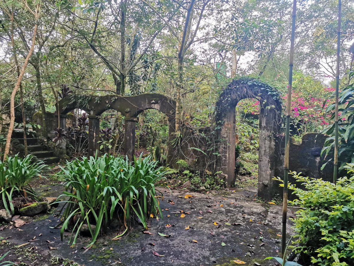 WENCYWENHZ's tweet photo. #naturetripping
#mobilephotography
#maryknollecologicalsanctuary
#rawphotos https://t.co/M4pSYzd584