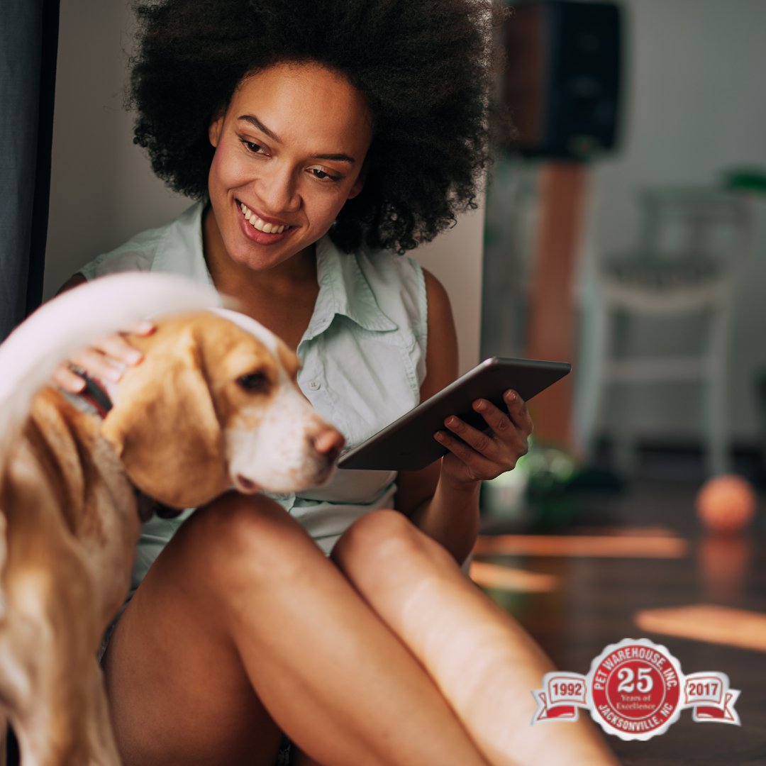 PetWarehouseNC's tweet photo. Just adopted a pet? 

Create a quiet calm space for them to decompress such as their crate, it will become their safe place and can help in so many ways moving forward. #thepetwarehouse #jacksonvillenc #nc #animals https://t.co/TpRQdXQKZI