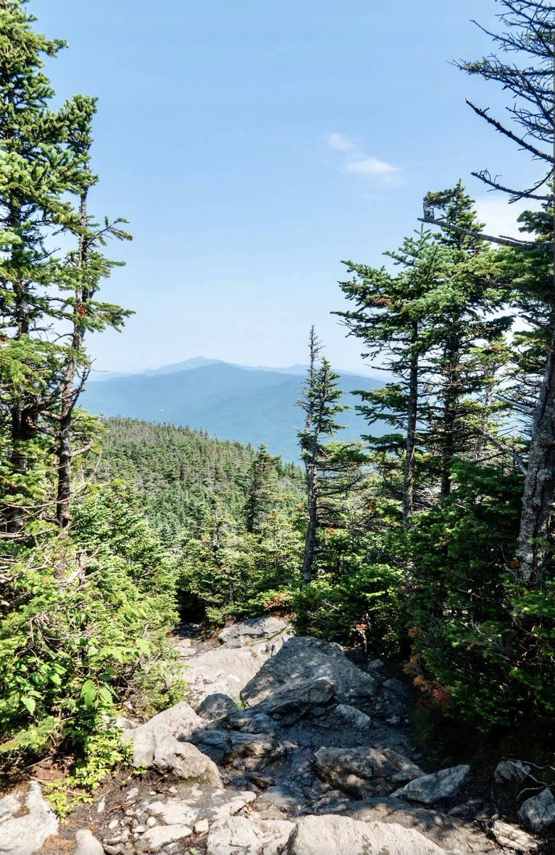 thepaoapp's tweet photo. Happy Hump Day pao fam! 
💎 of the day: Camels Hump, Vermont
• pao user: erin lawrence • 
#ThePaoApp #paoworthy #HumpDayVibes https://t.co/XGIqnuhgTM