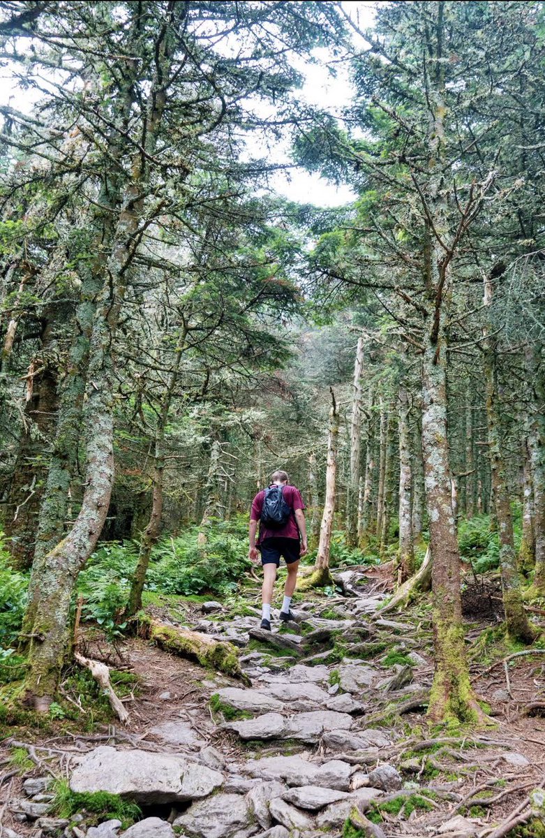 thepaoapp's tweet photo. Happy Hump Day pao fam! 
💎 of the day: Camels Hump, Vermont
• pao user: erin lawrence • 
#ThePaoApp #paoworthy #HumpDayVibes https://t.co/XGIqnuhgTM