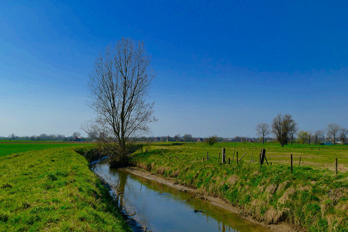 Johan__Morren's tweet photo. 15 u oude Gete Oplinter #vrtweer #oplinter https://t.co/Le1S7clKdN