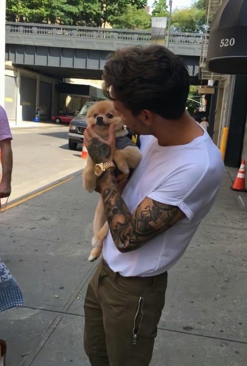 bpicsljp's tweet photo. Liam Payne with a puppy 🐶 https://t.co/Az6ZkpE3Lx