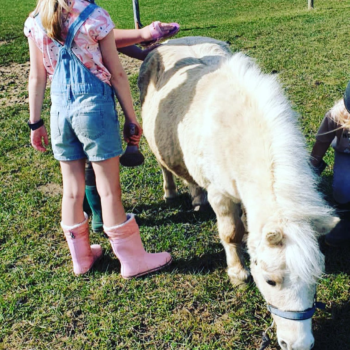 stableandwild's tweet photo. Day 2: The sun shone, we were outside all day in the fresh air, and the children were AMAZING.

2 more days still to go. Thank you #reloadnorthants for the opportunity for these children to learn so much about animals, nature, food and themselves. https://t.co/3f8OVfXesL