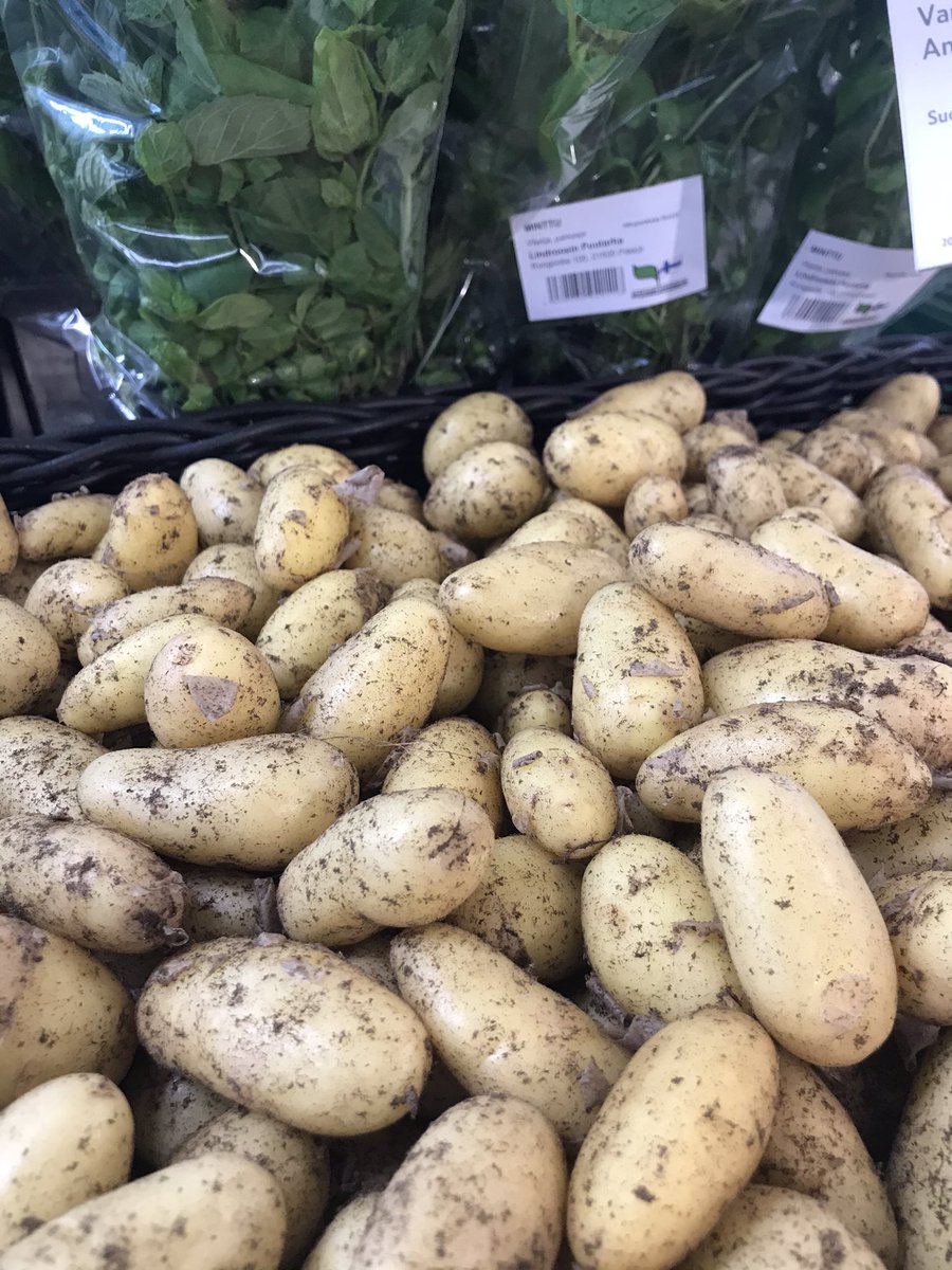 Annabelle ❤️varhaisperuna on täällä! #nummenpakka #eesonki #perunarakkaus