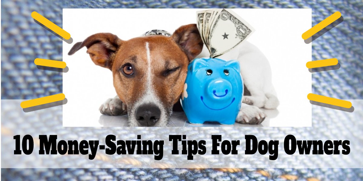 PackLeader01's tweet photo. What Are Your Favorite Money-Saving Tips For Dog Owners? How do you save money on dog supplies? Do you make your own dog toys or treats? Do you bathe and trim your dog’s nails at home? Let me know in the comments below. #dogs #doglovers https://t.co/pBOjOum9HZ https://t.co/qnrJ8bDIMA