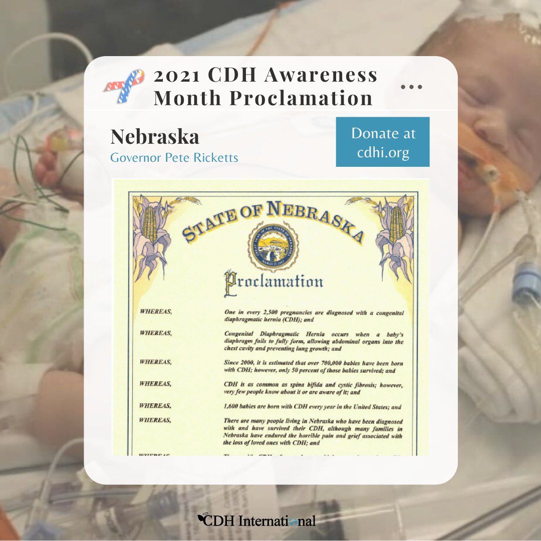 cherubs's tweet photo. Nebraska proclaims April 2021 CDH Awareness Month 

Read more at https://t.co/bEQko3yHd8

#cdh #cdhawareness #savethecherubs #cdhi #congenitaldiaphragmatichernia #cdhinternational #cdhsupport  #proclamation #nebraska #cdhnews #raredisease #patientadvocacy #cdhawarenessmonth https://t.co/91moYcs5Lj