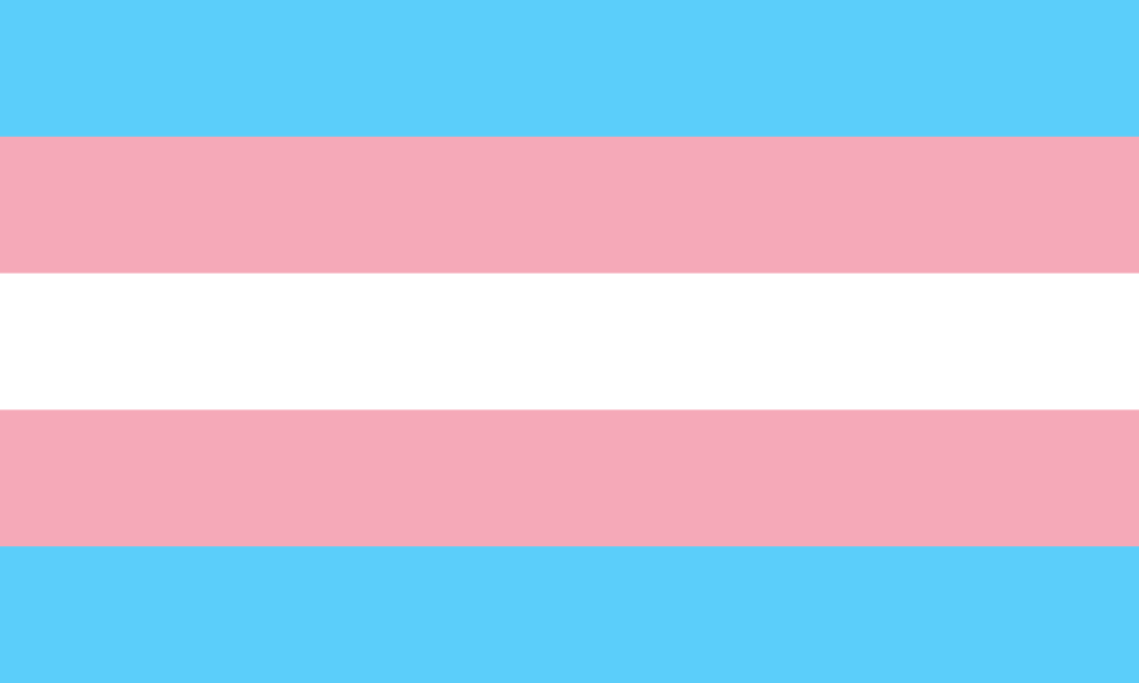 Happy International Trans Day of Visibility to all my trans followers & friends! #TDoV