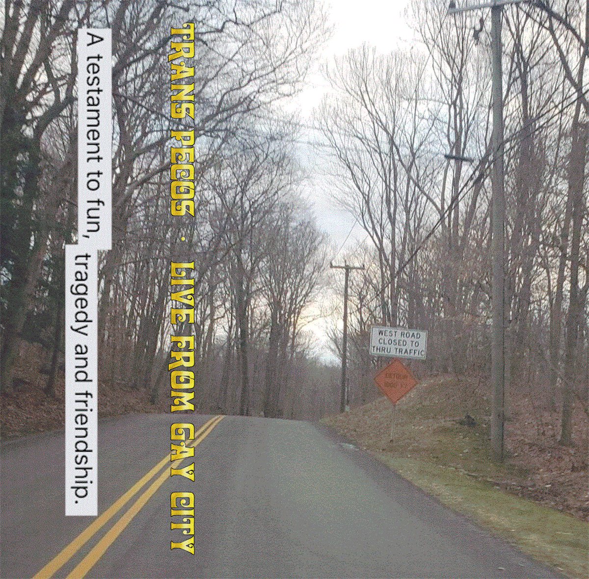 New cassette batch available! Ridgewood Rippers edition. Advection, Bad Trips &amp; Trans Pecos. All 3 tapes for the haunted price of $13. Life rules <3
solidmelts.bandcamp.com/album/stairs-ep