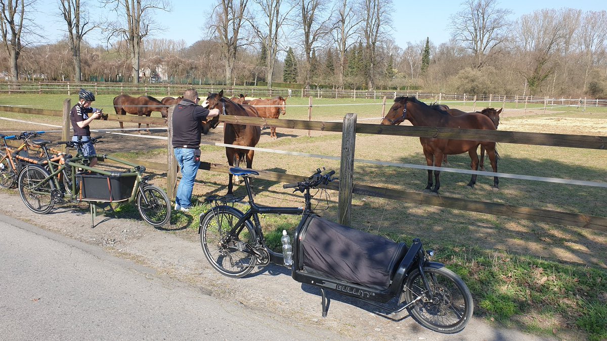 VeloRwa's tweet photo. Zu dritt... #Lastenradgang #Radratten #Radratte https://t.co/VdRIRSObwg