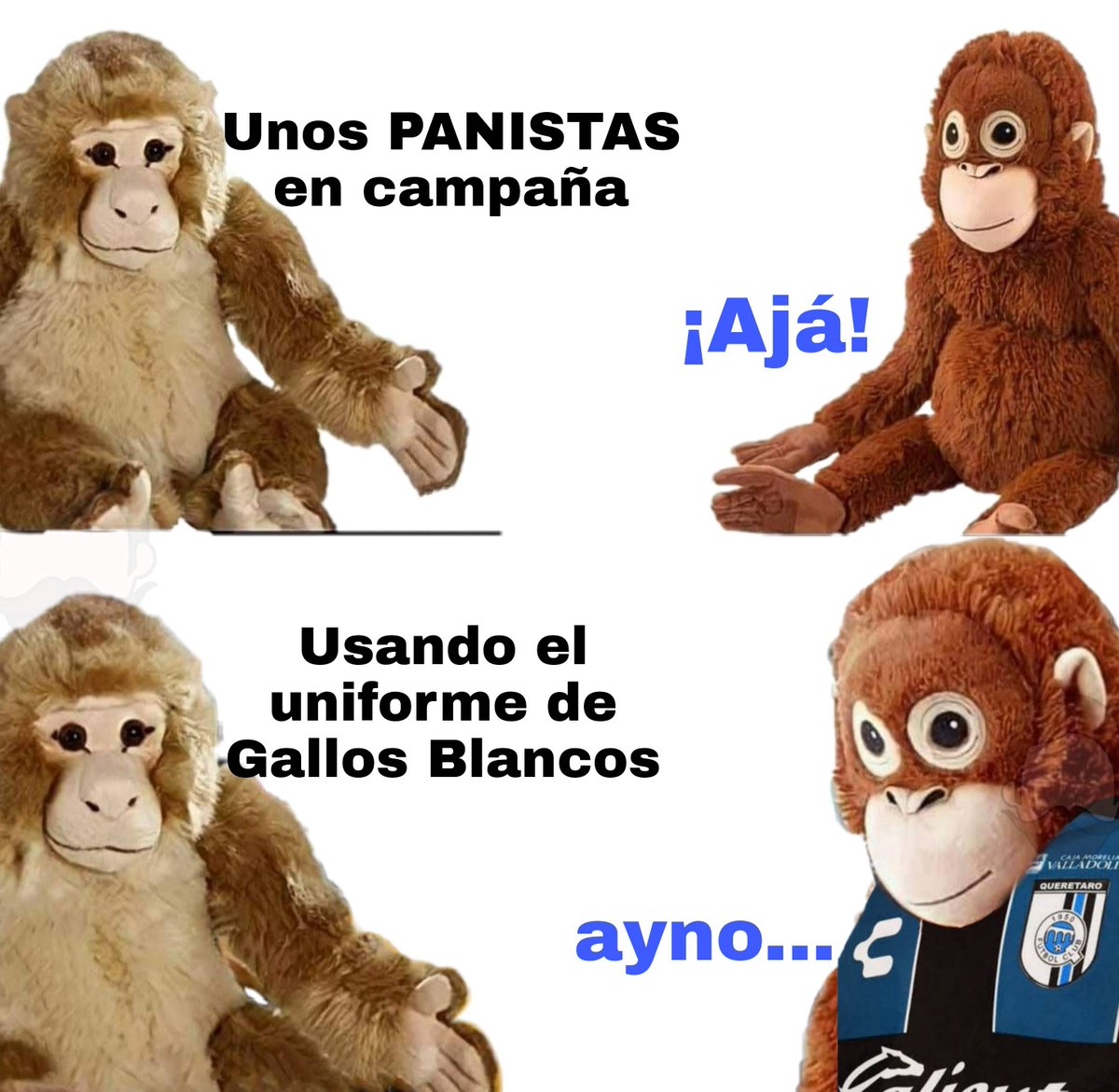 PedroBufalo's tweet photo. Parece chiste, pero es anécdota.

#ayno #Lupe #Joakin 

#Creatividad #MaketingPolitico #DerrocheDeTalento #GallosBlancos https://t.co/w2OkUDkCxh