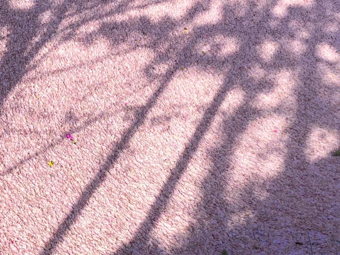 Toshitaka Szkさんのイラストまとめ