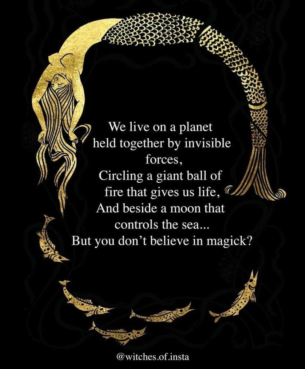 Dami30's tweet image. ✨🌚💫🌕⭐🖤