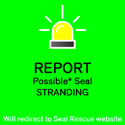 GalwayAquarium's tweet photo. We have added two new buttons to our website. If you have concerns about #Animals #Stranded The links will bring you to @seal_rescue and @IWDGnews for more infomation. #pupping season coming soon. https://t.co/uMdv7pYAFD