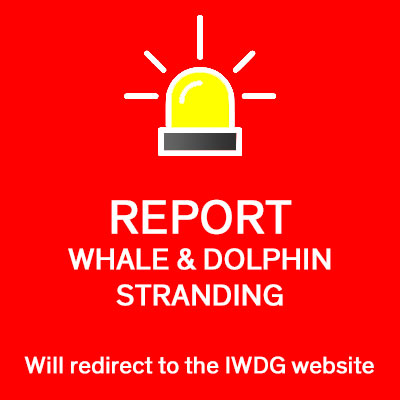 GalwayAquarium's tweet photo. We have added two new buttons to our website. If you have concerns about #Animals #Stranded The links will bring you to @seal_rescue and @IWDGnews for more infomation. #pupping season coming soon. https://t.co/uMdv7pYAFD