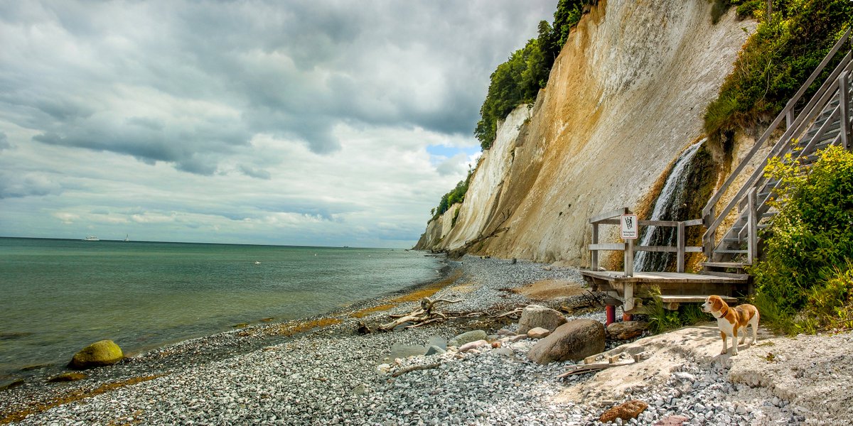Have a nice vacation online. How we miss these days (even the dog). #VirtualVacationDay #beagle #Jasmund #beautifulplaces