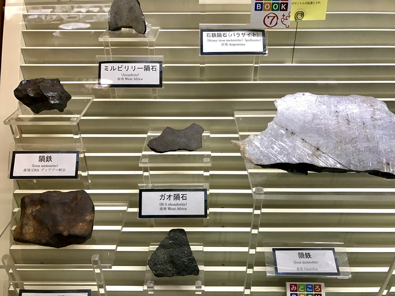 オンライン小売店 綺麗なダイオジェナイト NWA4664隕石標本 アンティーク/コレクション