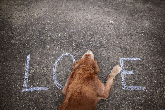 loukas81944652's tweet image. 