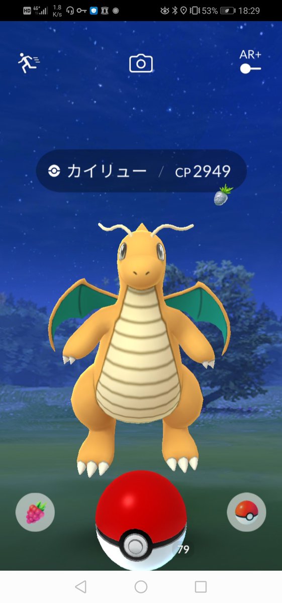 野生のカイリュー