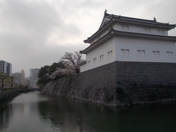 駿府城の桜21 最新情報 開花状況 駿府城の桜21 最新情報 開花状況