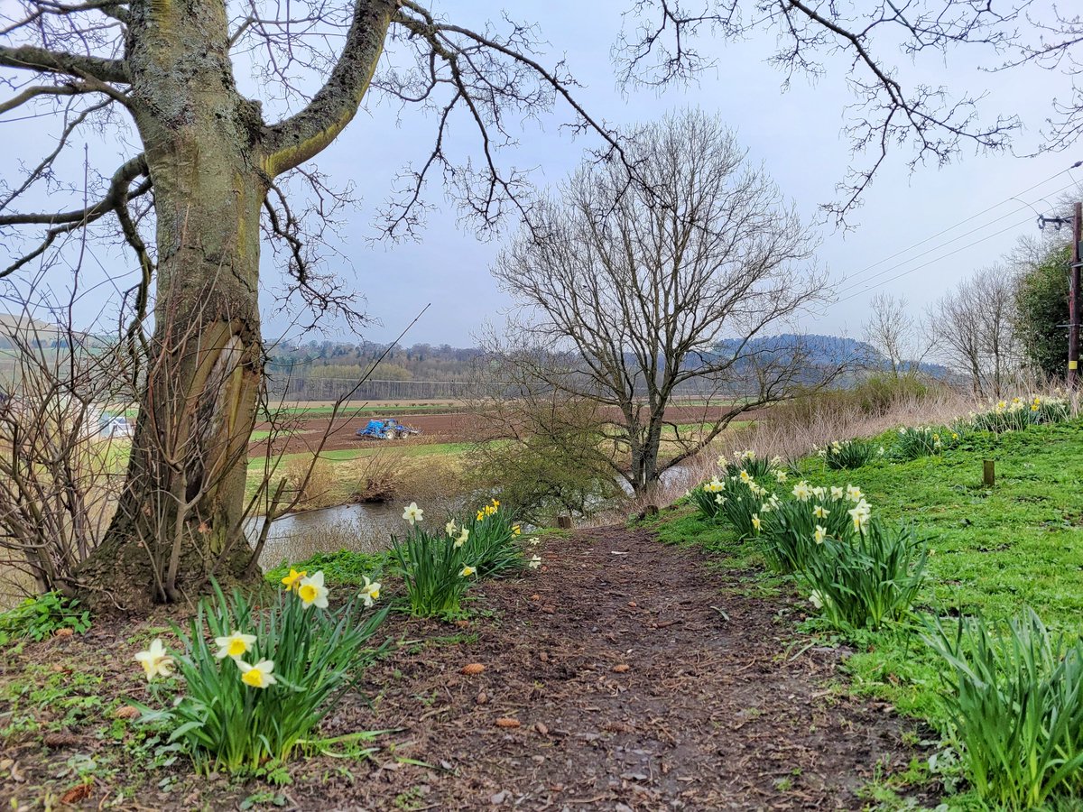 Good morning from Denholm Village ~ from the fishermans carpark overlooking the river #teviot with Minto Crags in the distance #SpringHasSprung 🌱🌾 #villagelife #denholm