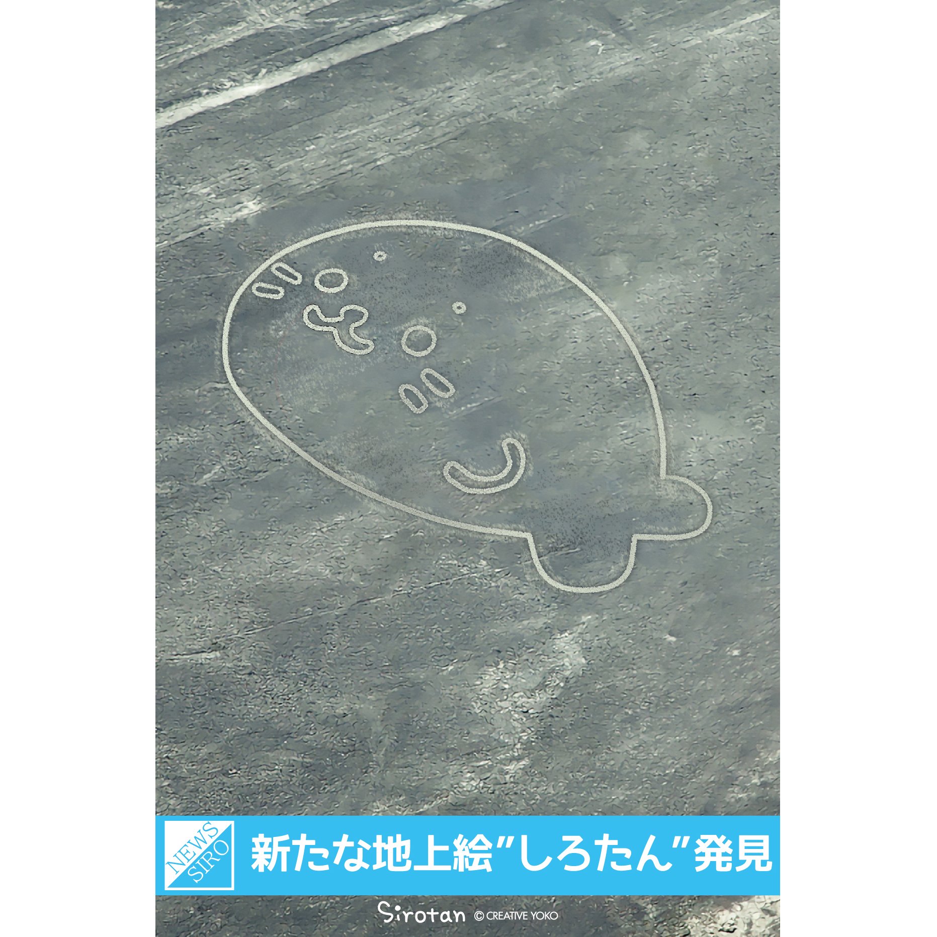 しろたん V Twitter 地上絵発見記念に壁紙が公開されました ダウンロードはこちらからhttps T Co Pwmp44owhr エイプリルフール 壁紙は今日1日限定でダウンロードできるよ しろたん アザラシ Sirotan Babyseal T Co Munkfum437 Twitter
