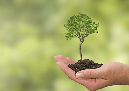 Green Energy, Green Products and Green Processes: The emerging sector of Green Jobs is set to grow! #ShapingPathways will focus on green jobs later this year in our event series for teens. #GreenPathways 🌱🌏

#climateaction #GlobalShapers #Empowerment

buff.ly/3u22C2E