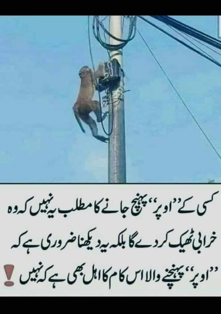Hasansyed26's tweet photo. @pmln_org @MaryamNSharif @betterpakistan https://t.co/SoI6Rk9uGY