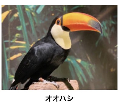 オニオオハシのtwitterイラスト検索結果 オニオオハシのtwitterイラスト検索結果