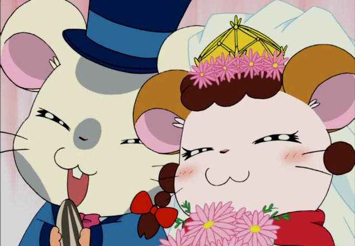 ピリ とっとこ垢 Piri Th Twitter