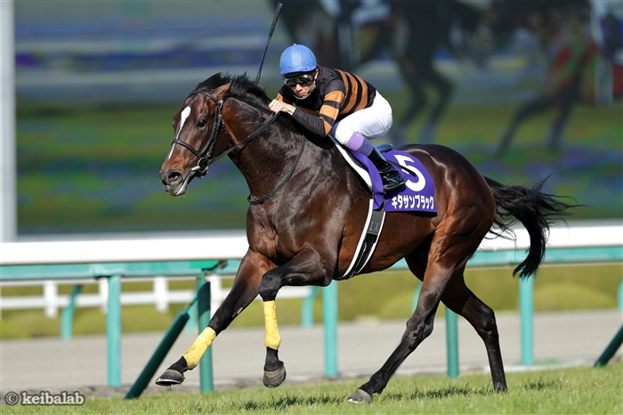 競馬ラボ 大阪杯の思い出 17年大阪杯 1着 キタサンブラック 武豊騎手 馬主 北島三郎氏 競馬 Keiba キタサンブラック 武豊 北島三郎 T Co 8e3gugqz7n 競馬ラボ 大阪杯の思い出 17年大阪杯 1着 キタサンブラック 武豊騎手 馬主 北島三郎氏 競馬 Keiba キタサンブラック 武豊 北島三郎 T Co 8e3gugqz7n