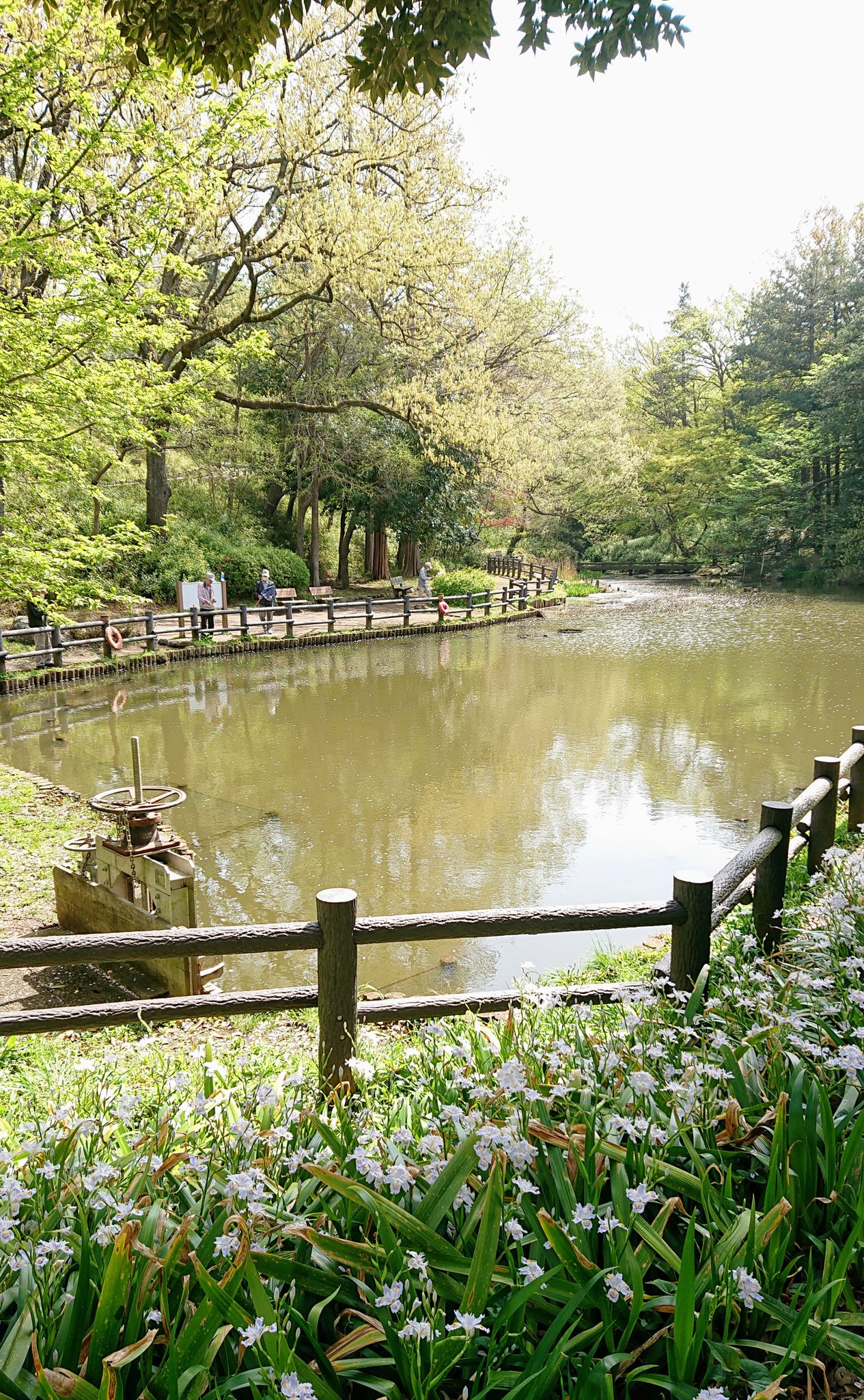 横浜市児童遊園地 Twitter Search Twitter
